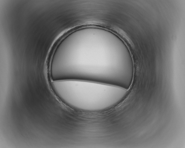 X0000112201024200908071239