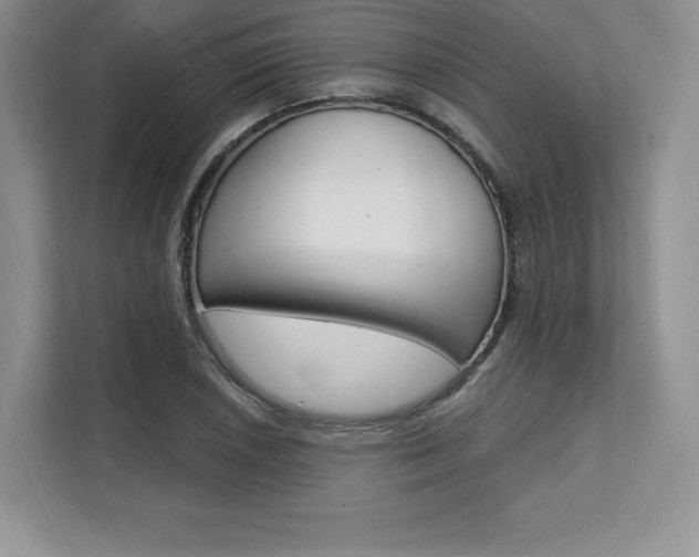 X0000112201026200908071239