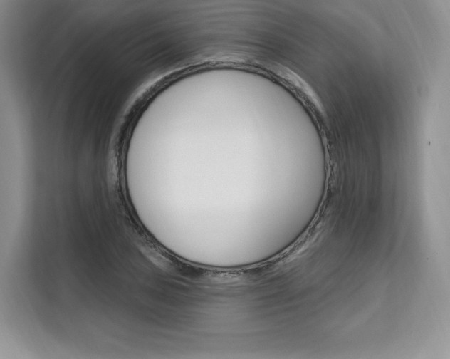 X0000112201027200908071239