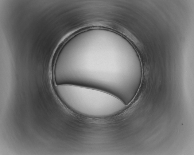 X0000112201028200908071239