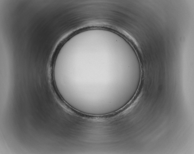X0000112201029200908071239