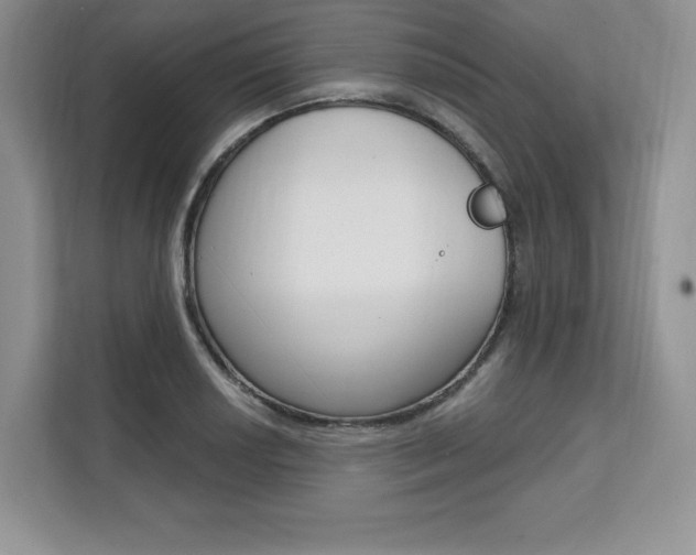 X0000112201034200908071239