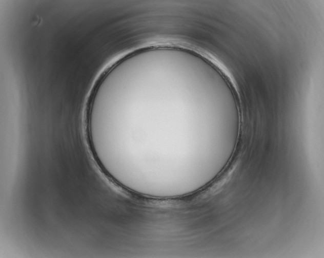 X0000112201045200908071239