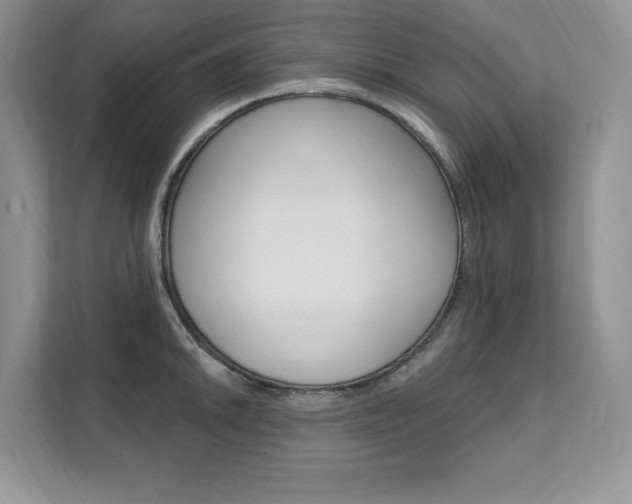 X0000112201046200908071239