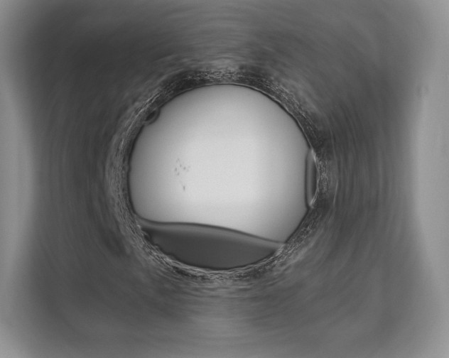 X0000112201057200908071238