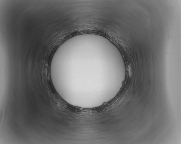 X0000112201059200908071238