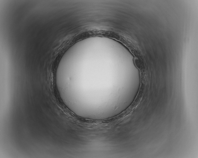 X0000112201061200908071238
