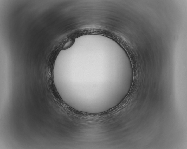 X0000112201062200908071238