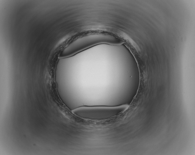 X0000112201064200908071238