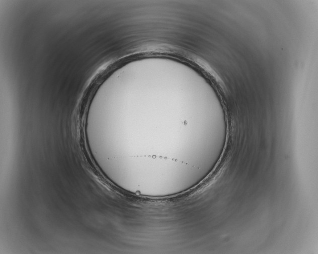 X0000112201067200908071238