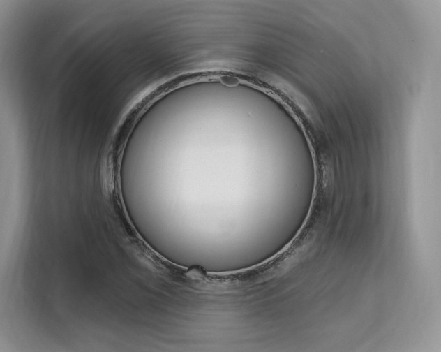 X0000112201069200908071238