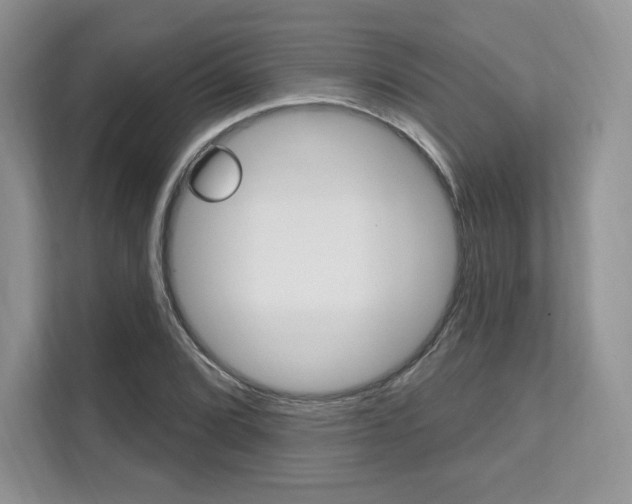 X0000112201072200908071238