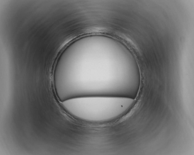 X0000112201073200908071238
