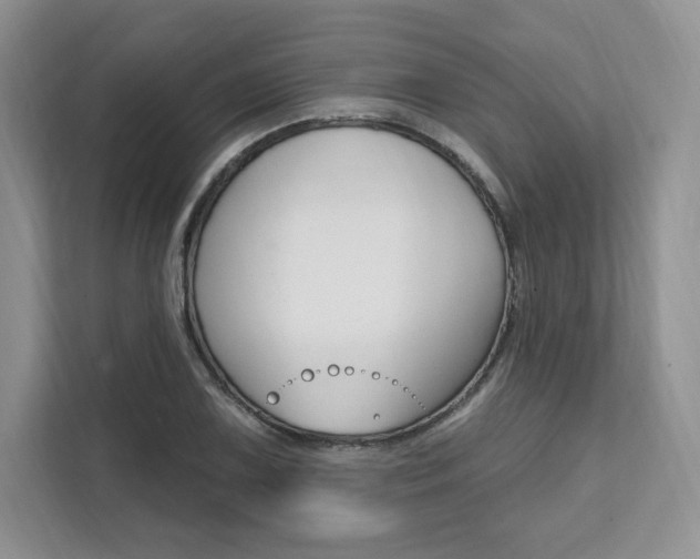 X0000112201075200908071238