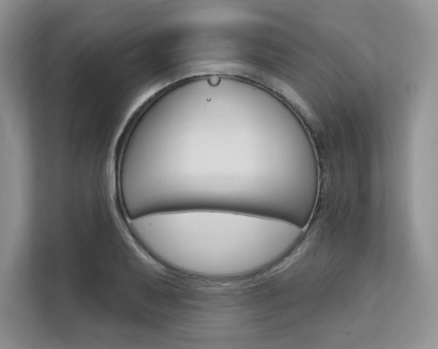 X0000112201079200908071238