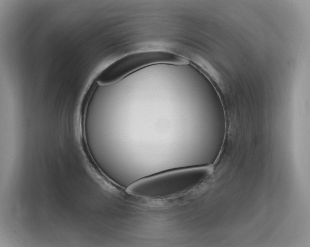 X0000112201080200908071238