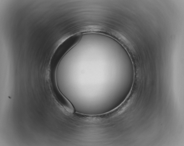 X0000112201081200908071238