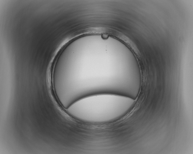 X0000112201083200908071238