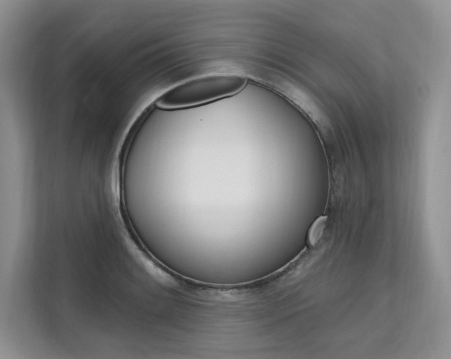 X0000112201084200908071238