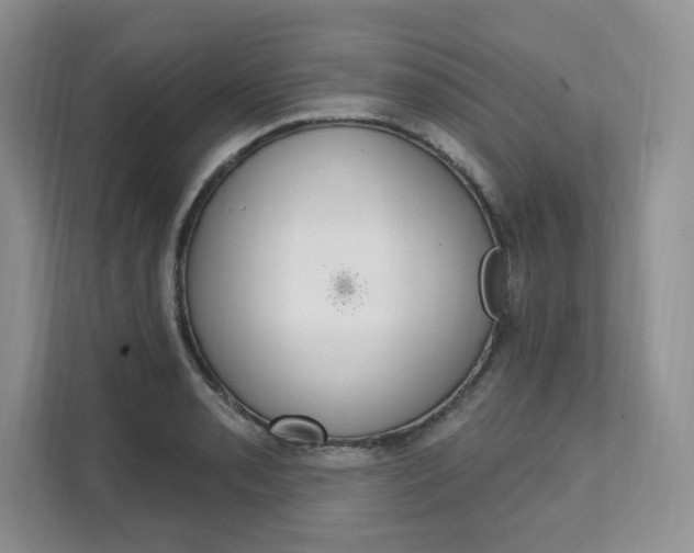 X0000112201085200908071238