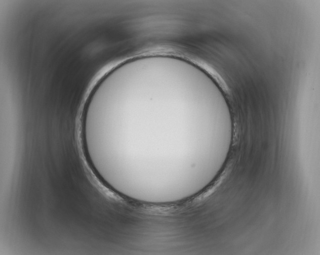 X0000112201086200908071238