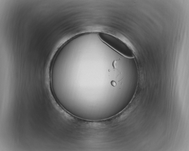 X0000112201088200908071238