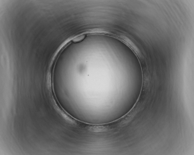 X0000112201092200908071238