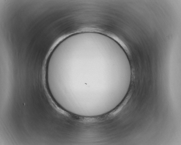 X0000112201094200908071238