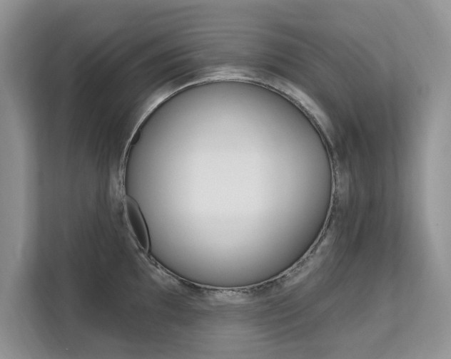 X0000112201097200908071238