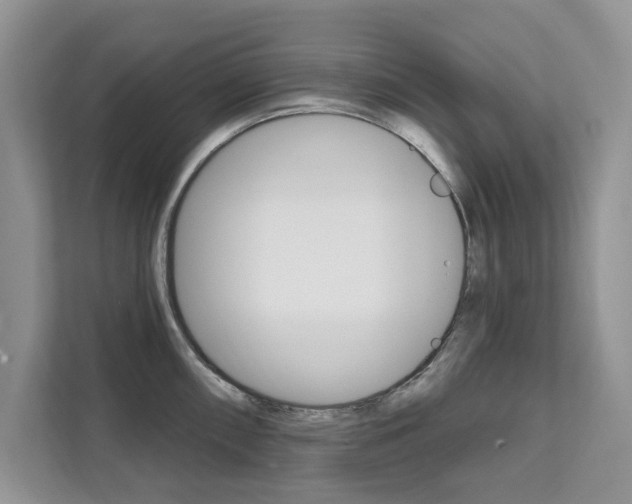 X0000112201098200908071238