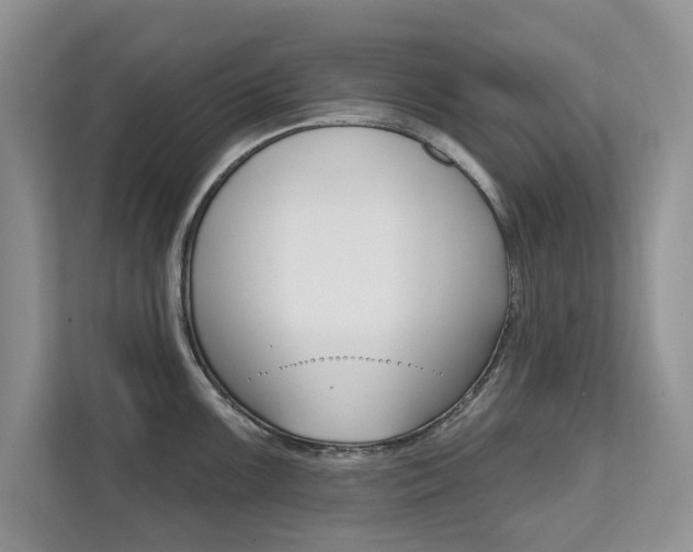 X0000112201099200908071238