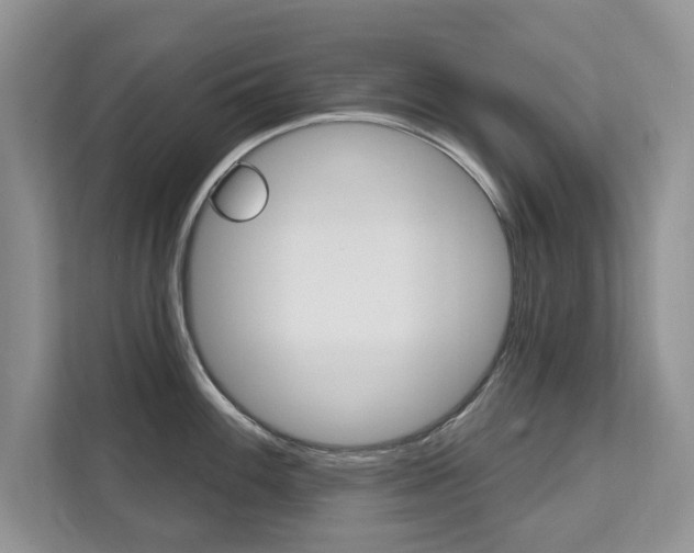 X0000112201100200908071238