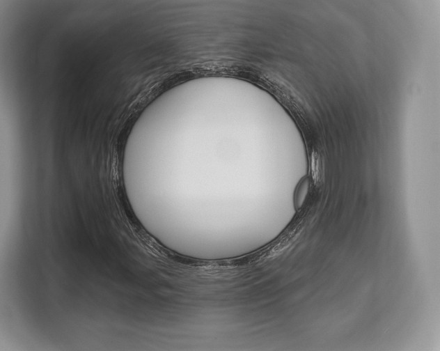 X0000112201107200908071237