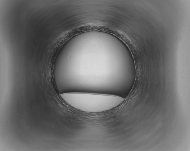 X0000112201110200908071237