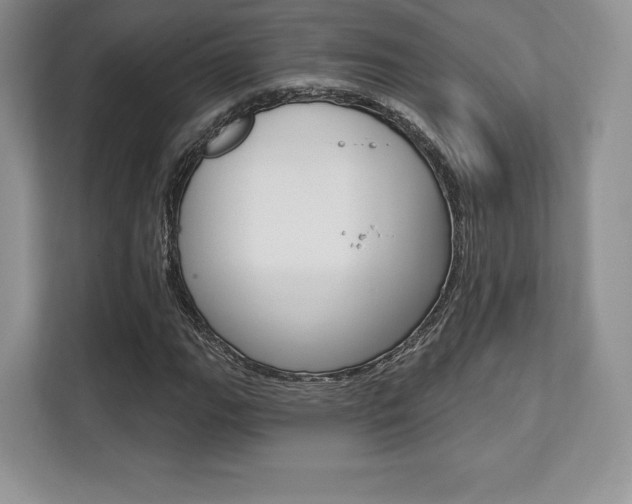 X0000112201111200908071237