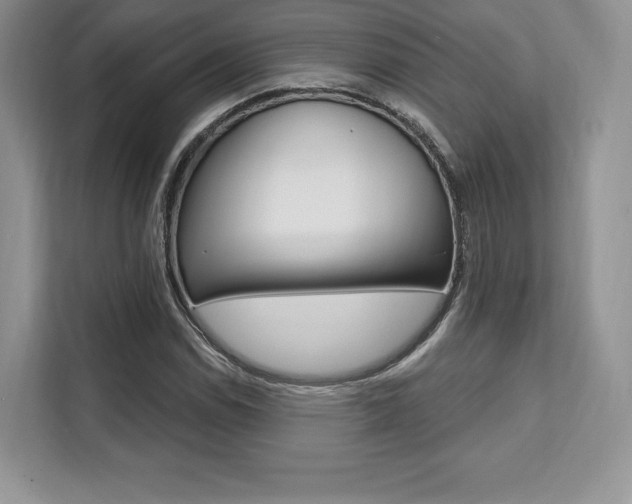 X0000112201114200908071237