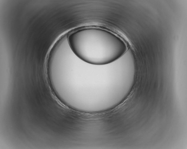 X0000112201116200908071237