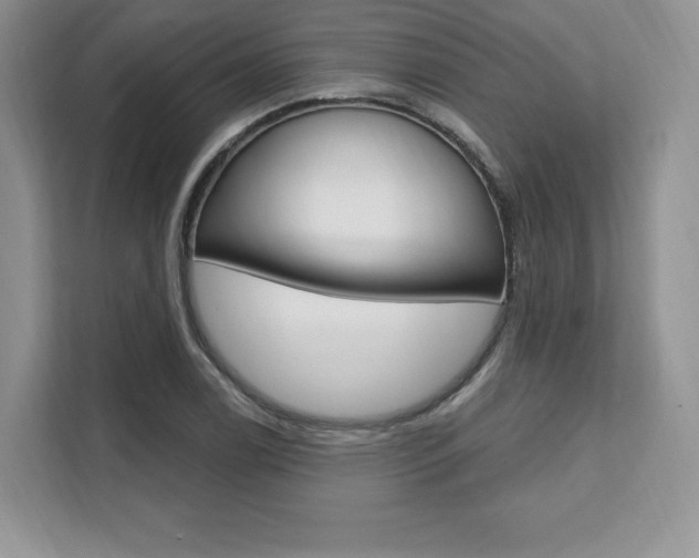 X0000112201122200908071237