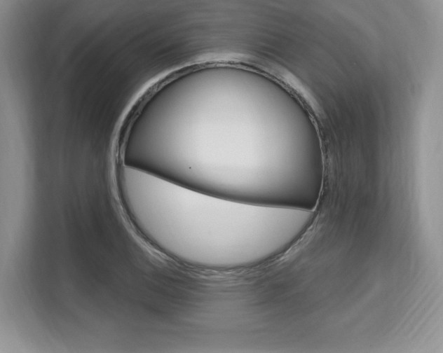 X0000112201124200908071237