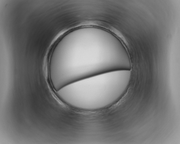 X0000112201127200908071237