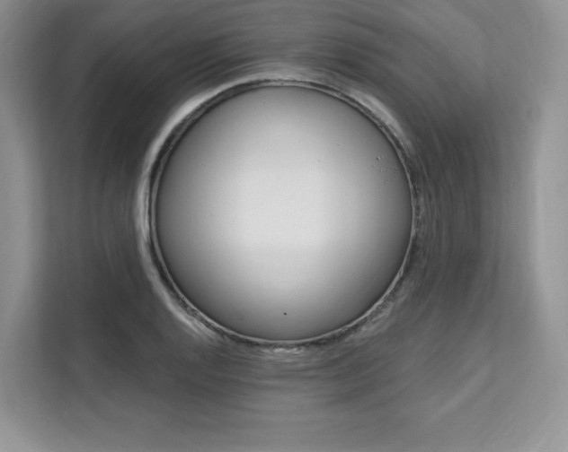 X0000112201128200908071237