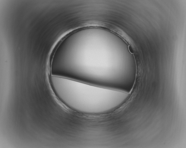 X0000112201132200908071237
