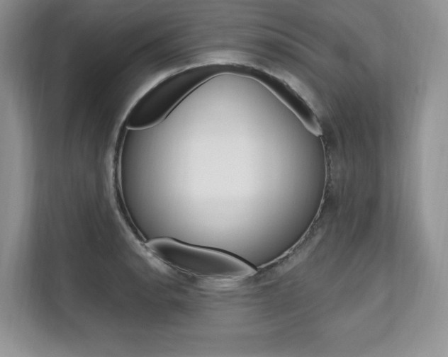 X0000112201134200908071238