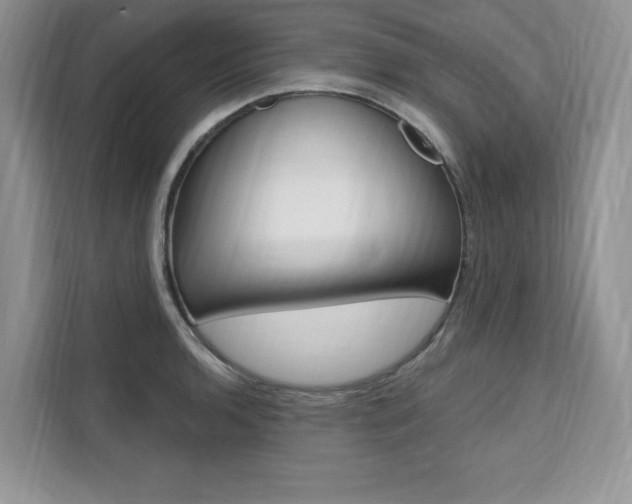 X0000112201136200908071238