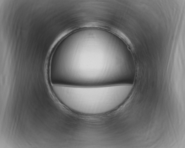 X0000112201138200908071238