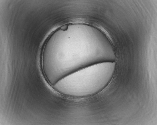 X0000112201139200908071238