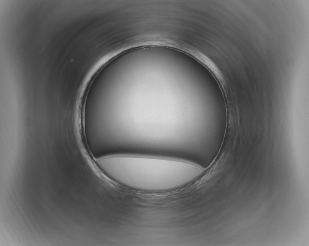 X0000112201144200908071238