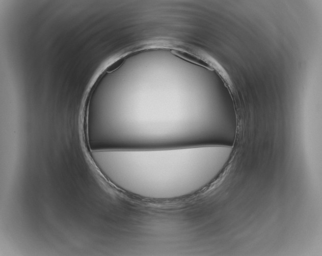 X0000112201146200908071238