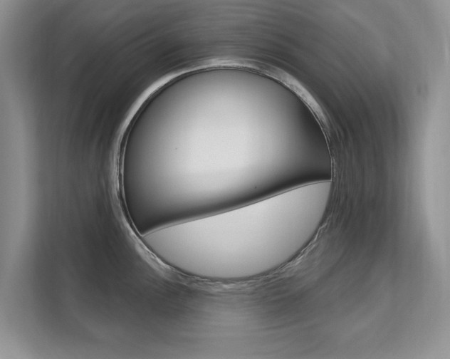 X0000112201148200908071238