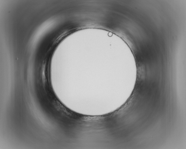 X0000112201150200908071238